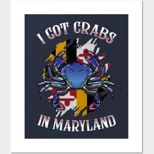 I Got Crabs In Maryland Day State Blue Crab Flag Posters and Art